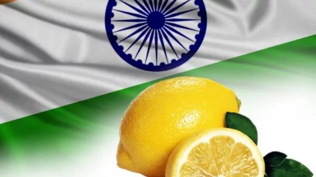 India lo oficializó y el limón tucumano suma un nuevo destino internacional