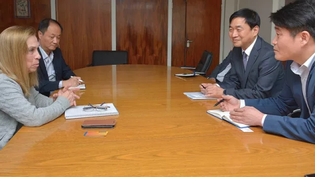 La minera coreana Posco extraerá litio en la Puna