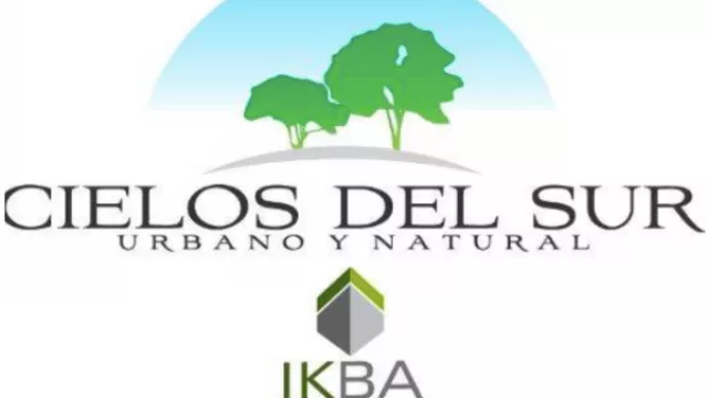 Cielos del Sur, infierno de todos: tramitan el concurso preventivo de IKBA SA 
