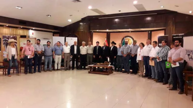 La coyuntura desfavorable no frena a la ganadería paraguaya (lograron inscribir 2.348 animales)