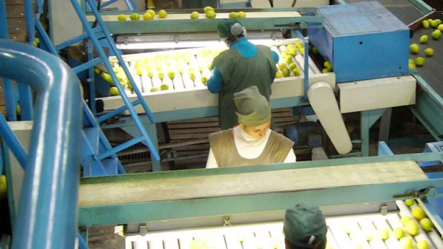 ¿Cuáles son las empresas  de Tucumán que más trabajadores contratan?