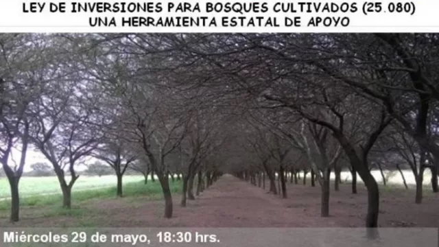 En Las Lajitas promocionarán las ventajas de la Ley de Inversiones para Bosques Cultivados