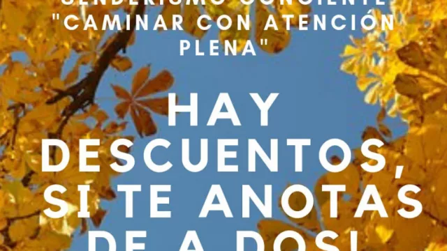 La terapia del buen caminar, conéctate con tu entorno natural