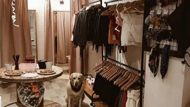 Alfon Show Room: el sueño de una emprendedora que jamás bajó los brazos