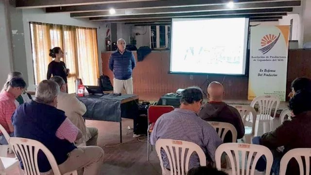 Una inversión de largo plazo: buscan interesar a productores en el desarrollo de bosques cultivados