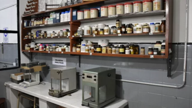 Educar para formar expertos locales, la apuesta de Ledesma