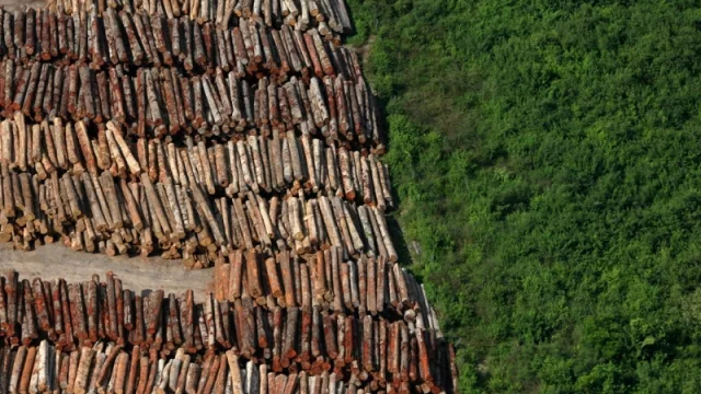 Natura, una marca que está más consciente que nunca