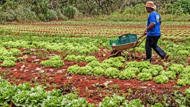 Menos impuestos y más créditos para el agro, la industria y la construcción