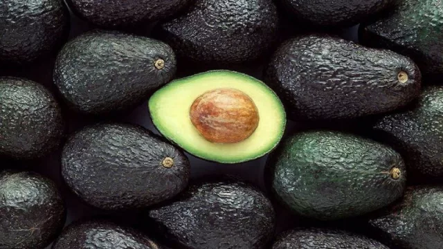 Palta: las potencias incrementaron su apetito y Argentina, aún no ve el negocio