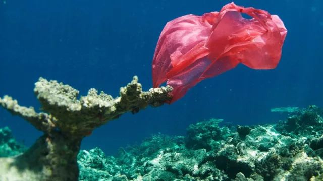 Corona se suma a la causa: "por una playa libre de plástico" (¿y si lo hiciéramos en el Dique Cabra Corral?)