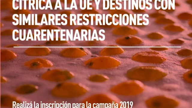 Productores de cítricos que deseen exportar pueden inscribirse online