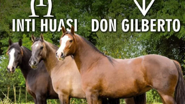 Mañana se hace el segundo remate de Criollos en Atocha