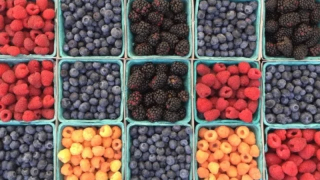 Argentina Exporta: ¿Jujuy podrá multiplicar las ventas al exterior?