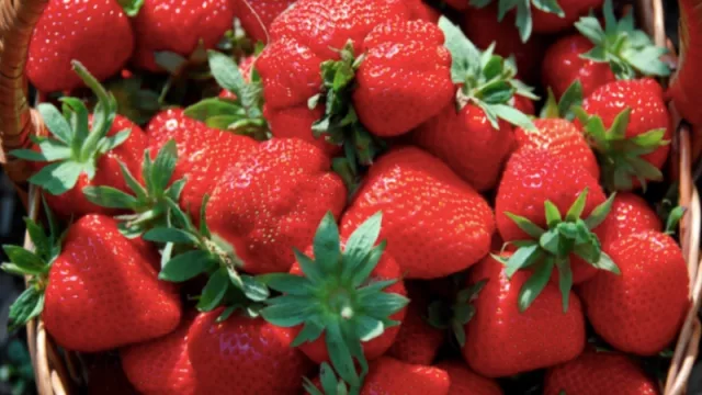 ¡Para comer sin parar! Taller teórico y práctico para la elaboración de mermelada de frutilla