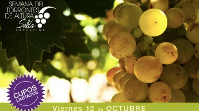 El próximo viernes llega la Clínica del Torrontés de Altura