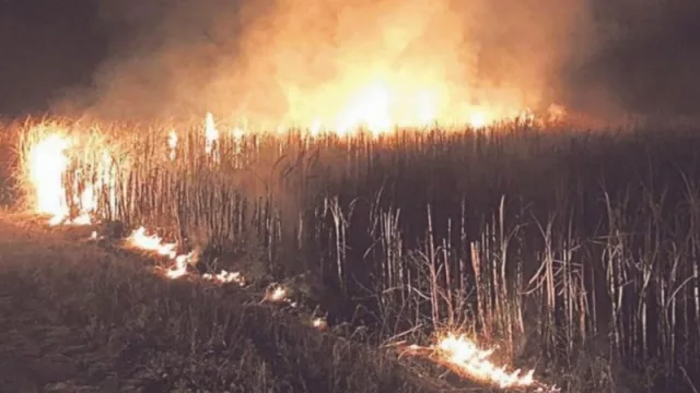 Azucareros niegan responsabilidad en el incendio del Ingenio San Isidro y responden a Los Balcanes S.A.
