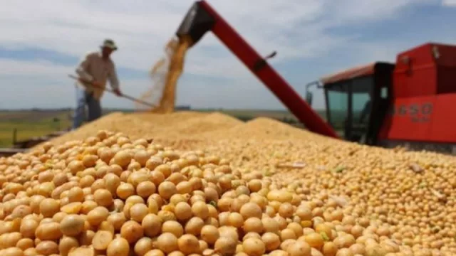 Tucumán, de las provincias del NOA más afectadas por las retenciones a las exportaciones