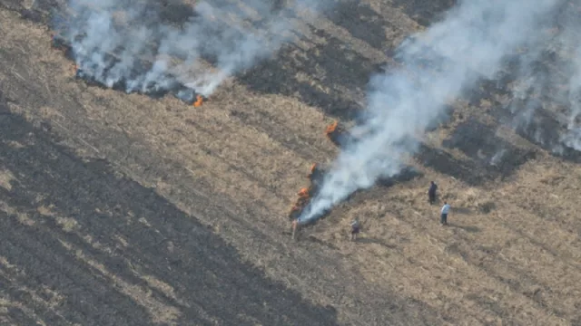 Productores se comprometieron a trabajar para erradicar la quema de cañaverales
