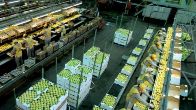 La citrícola San Miguel es reconocida como Mejor Proveedor del año