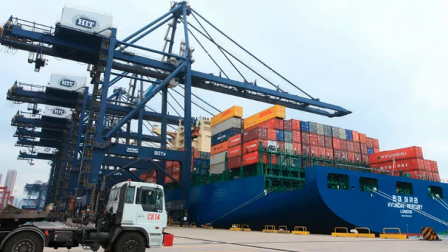 Tucumán y nuevo récord de exportación de arándanos