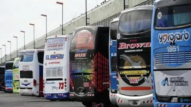 ¿Pueden las empresas de colectivos ofrecer tarifas low cost? Aseguran que por ahora no