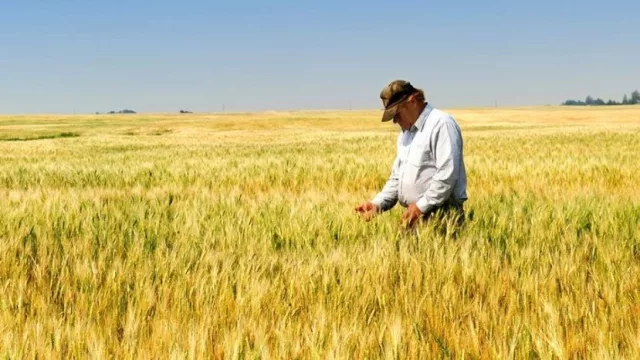 Argentina saldría favorecida de la tensión comercial entre México y EE.UU.