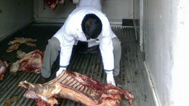 Fuerte control sobre las carnicerías clandestinas: en seis meses decomisaron 3.800 kilos de carne
