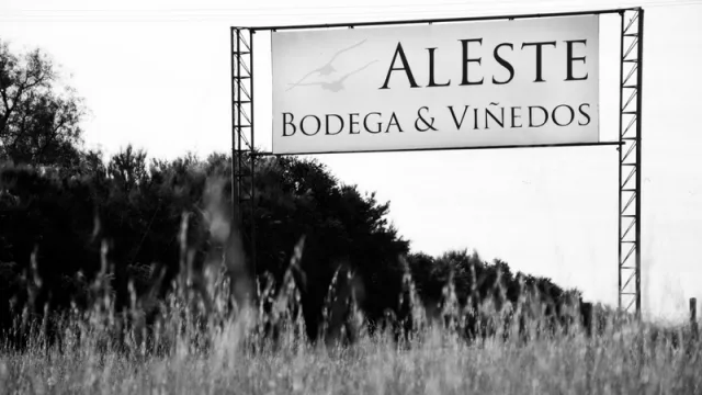 Bodega AlEste: el desafío de agregarle valor al vino conjugado con el turismo