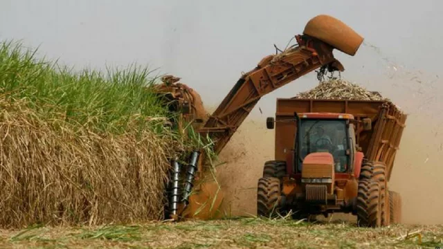 Aseguran que Salta tiene un enorme potencial para generar energía a partir de biomasa