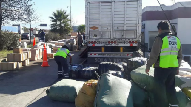 Intensifican el control del comercio ilegal en vísperas del Día del Padre