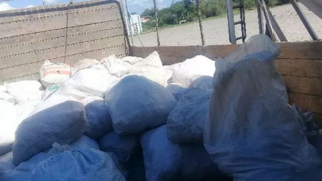 La oca andina de Iruya llegó a los mercados gastronómicos de Córdoba