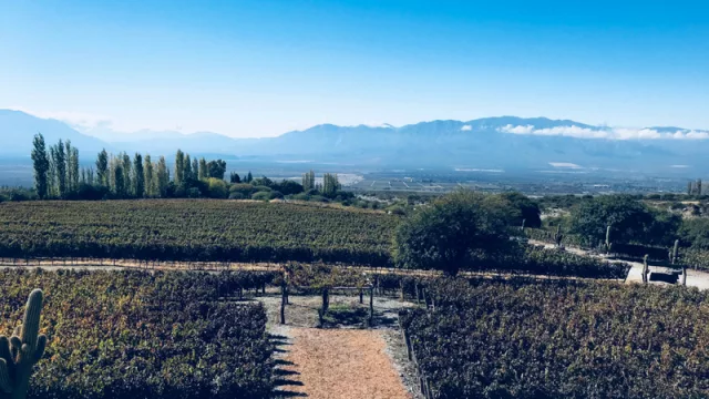 El #InTour comenzó por Salta (la redacción de InfoNegocios recorre el país)