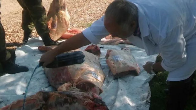 En el primer trimestre de este año decomisan más de 1.200 kilos de carne de faena clandestina
