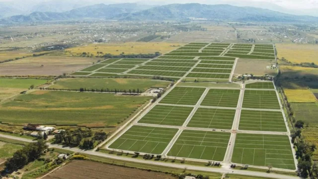 MDay y un proyecto que se cocina con aroma a valor agregado