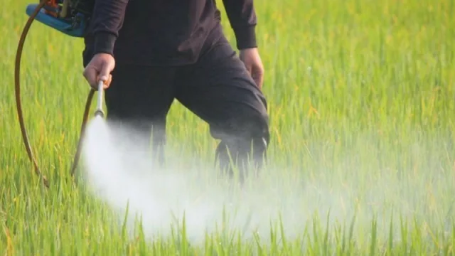 Las empresas de fumigaciones deben inscribirse en el nuevo Registro de Fitosanitarios