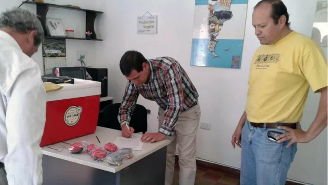 Entregan equipos a productores para el control de la plaga de langostas