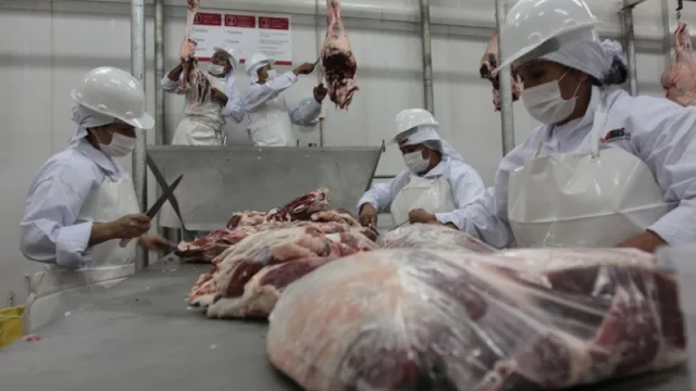 Frigoríficos reciben el visto bueno del gobierno chileno por reformas estructurales