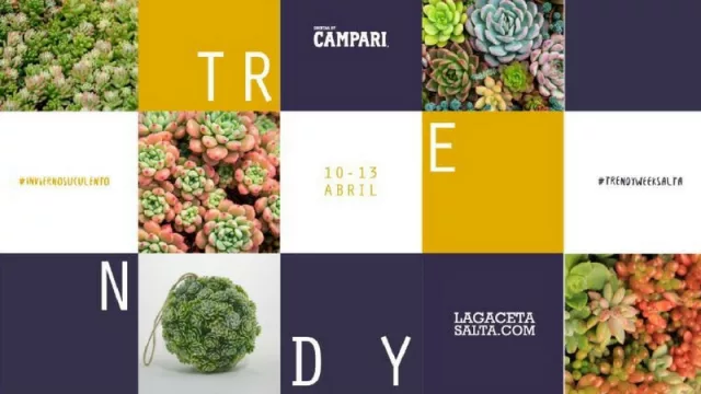 Trendy week: ¡la moda como protagonista!