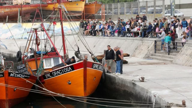 Fin de semana XL con 214.144 turistas (ocupación hotelera del 85%)