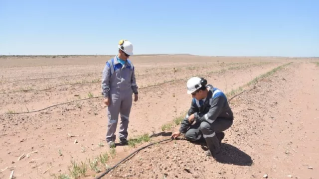 La Central Térmica de Loma Campana más allá del valor agregado que le dará al gas