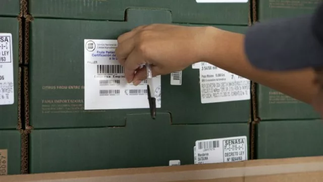 La exportación de citrus obligó a capacitar Inspectores de Empaque en Tucumán