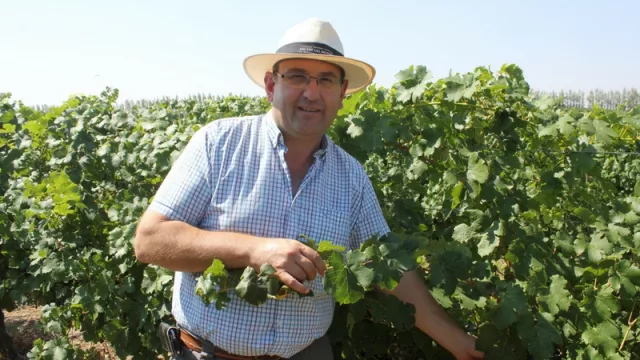 La tecnología de Bodega Del Fin del Mundo para detectar contrariedades en sus viñedos