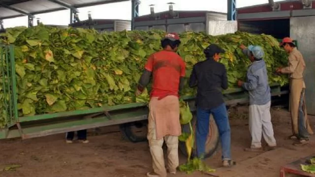 Todavía no hay acuerdo por el precio del tabaco de la campaña 2017-2018, pero ya hay polémica