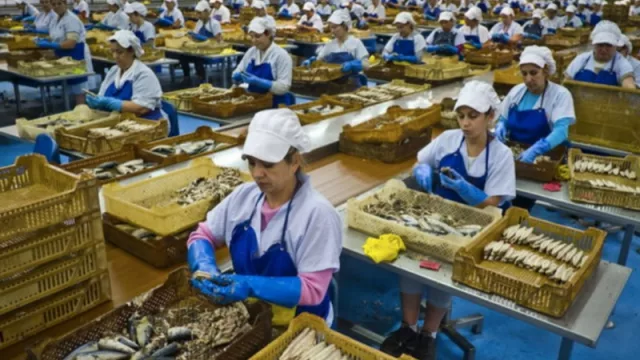 Relevamiento de la consultora internacional Mercer: la brecha salarial de género es del 17% en América Latina