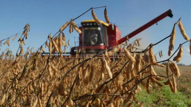 Productores tucumanos cobrarán compensaciones del Plan Belgrano