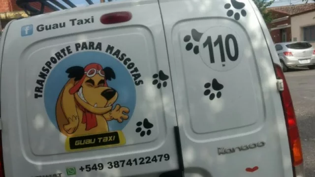 Una experiencia “desastrosa” que se convirtió en un emprendimiento muy creativo: Guau Taxi