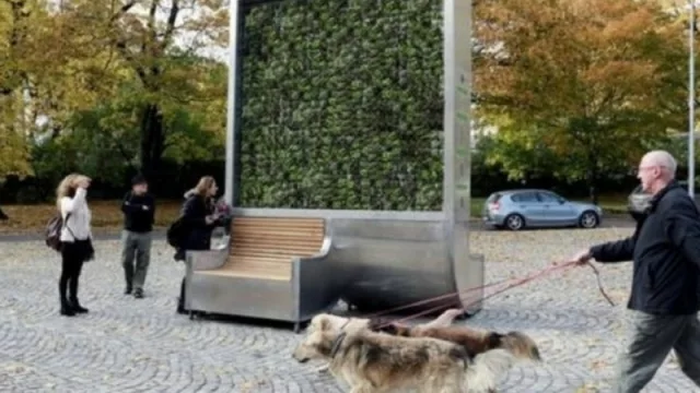 Un árbol alemán "de diseño" que absorbe contaminación