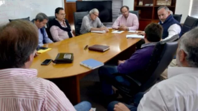 Crece la preocupación por la plaga de langostas que siguen apareciendo