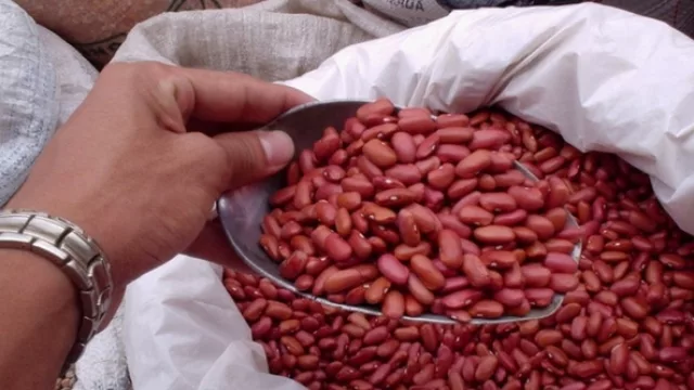 Tartagal recibirá este fin de semana la primera Feria Provincial de Semillas