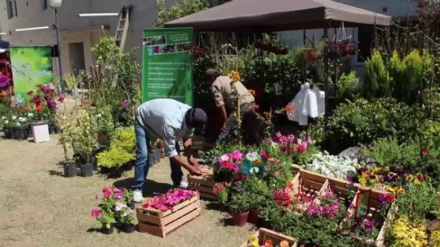 Se viene la ExpoFeria "Casaflor" en Vaqueros, con importantes descuentos para los visitantes
